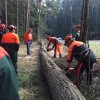 Foto 21.03.15 13 54 57