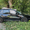 FSV_UÌ_THL-Tag-20246_830
