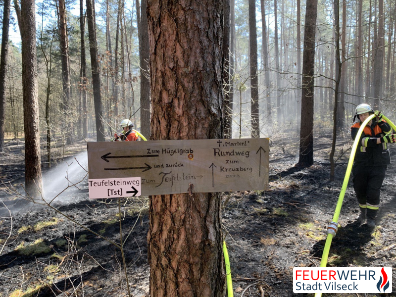 Einsatzkräfte bei Löscharbeiten im Wald